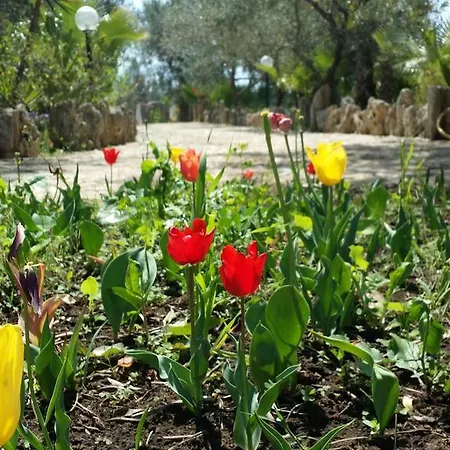 Фермерский дом Tenuta La Siesta
