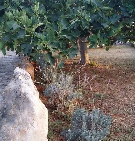 Фермерский дом Tenuta La Siesta *