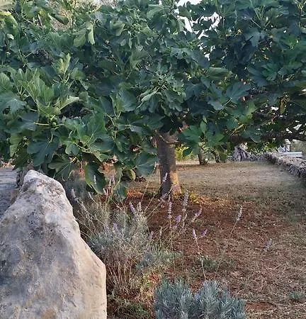 Фермерский дом Tenuta La Siesta *