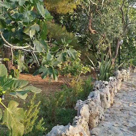 Tenuta La Siesta Фермерский дом *