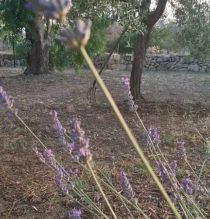 Tenuta La Siesta Фермерский дом Галлиполи