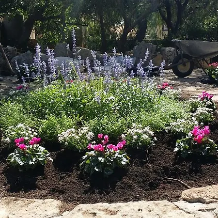 Tenuta La Siesta Фермерский дом *