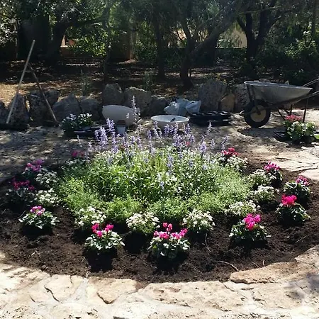 Gospodarstwo agroturystyczne Tenuta La Siesta Gallipoli