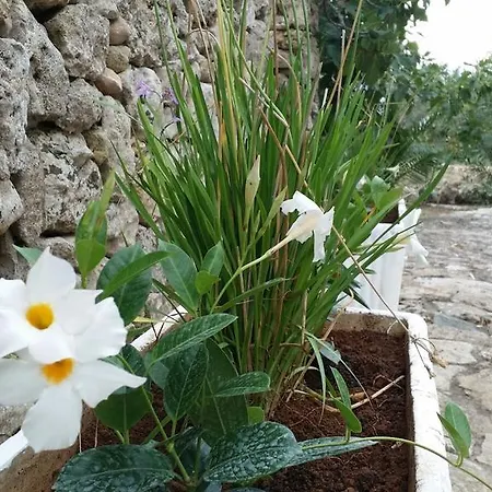 Tenuta La Siesta * Gallipoli