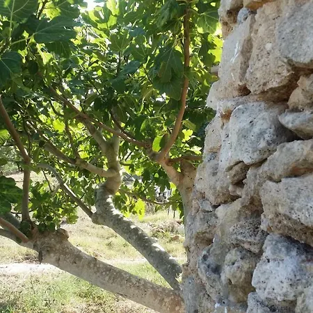 Gospodarstwo agroturystyczne Tenuta La Siesta Gallipoli