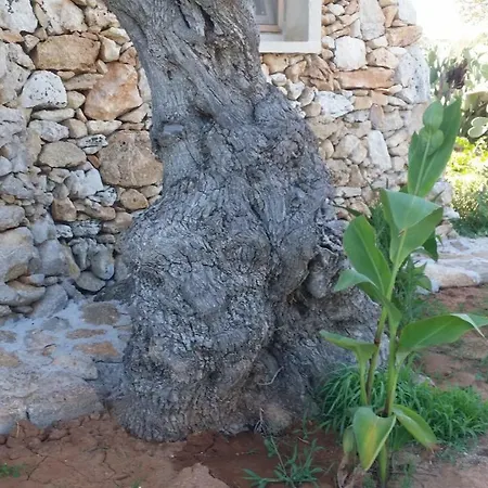 Gospodarstwo agroturystyczne Tenuta La Siesta Gallipoli
